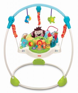 Fisher-Price Precious Planet Blue Sky Jumperoo 